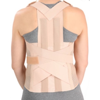 FAJA SAMDERSON DORSO LUMBAR CHICO MOD C1